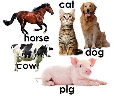 animales en ingles