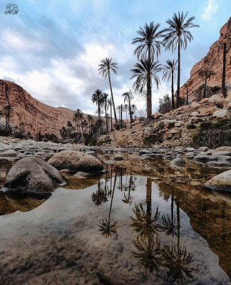 en AlgÃ©rie