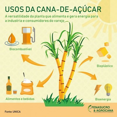 Usos da cana