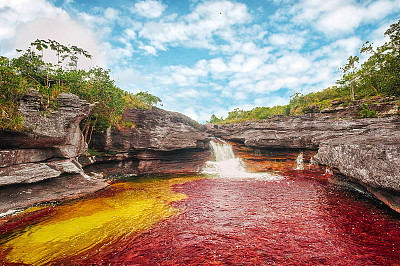 פאזל של caÃ±o cristales colombia