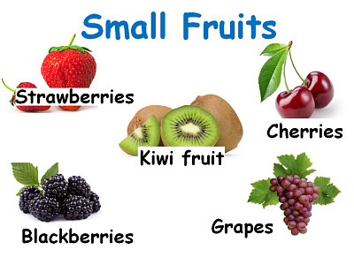 פאזל של Small Fruits