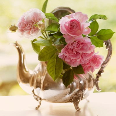 flores