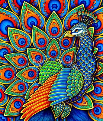 Colorful Peacock