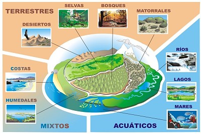 פאזל של Tipos de ecosistemas.