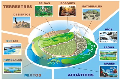 Tipos de ecosistemas.