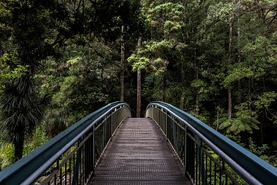 פאזל של Whangarei Falls footbridge