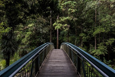 Whangarei Falls footbridge jigsaw puzzle