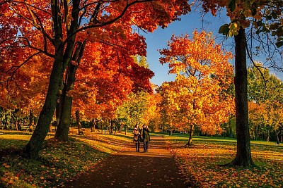 פאזל של Pareja en otoÃ±o