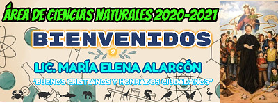 INFORMATICA BIOLOGIA SEGUNDO