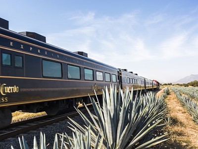 Tequila Train