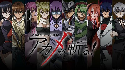 פאזל של Akame Ga Kill