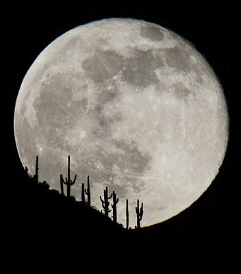 פאזל של Arizona Moon