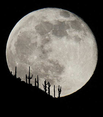 Arizona Moon jigsaw puzzle