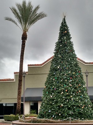 פאזל של Christmas at Lake Elsinore