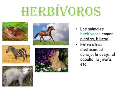פאזל של Animales HerbÃ­voros