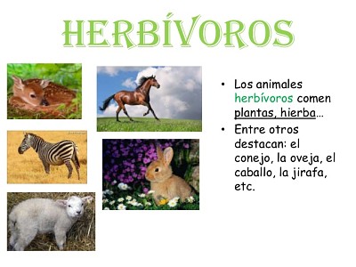 Animales HerbÃ­voros jigsaw puzzle