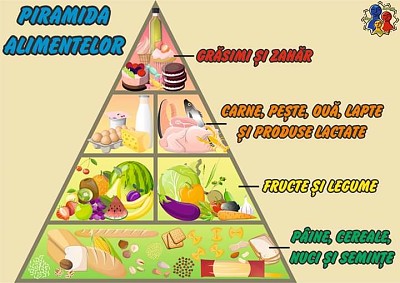 Piramida alimentelor