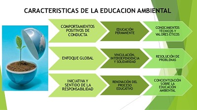 Descubre las caracteristicas de E.A.