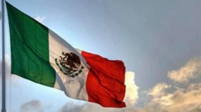 BANDERA DE MÃ‰XICO jigsaw puzzle