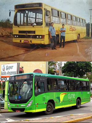 Ã”nibus Cisne