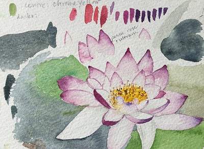 Water Lily sketch jigsaw puzzle