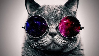 gato con gafas del espacio jigsaw puzzle