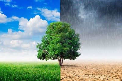 Weather puzzle jigsaw puzzle