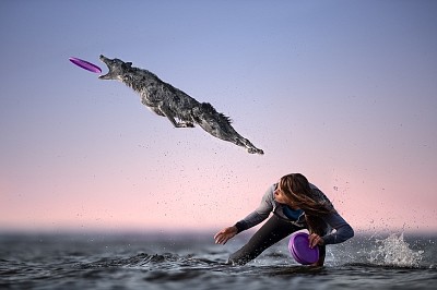 PERRITO Y EL MAR