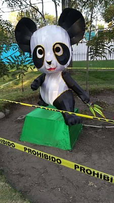פאזל של panda
