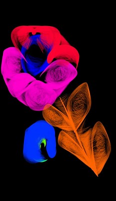 Flor