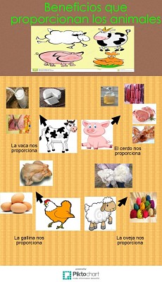 Utilidad de los animales