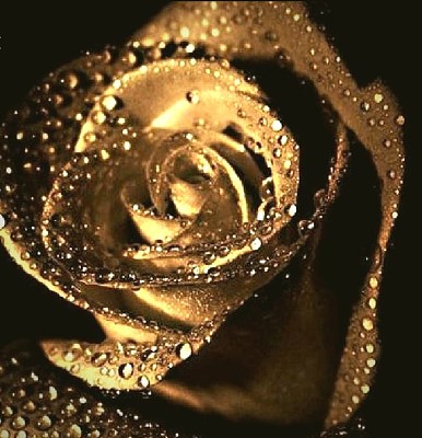 Rosa Gold