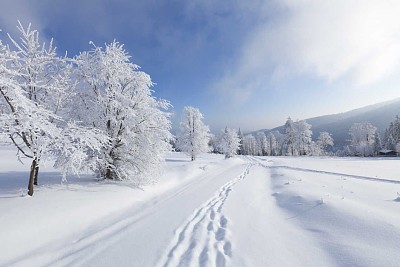 פאזל של Invierno