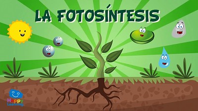 FotosÃ­ntesis