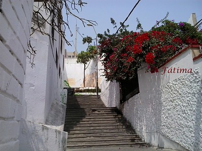 Bajaditas en Barranco