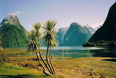 פאזל של Milford Sound