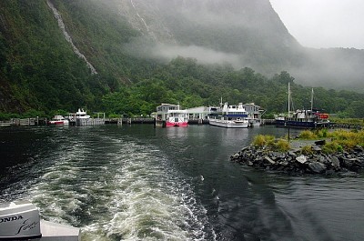 Muelle Milford Sound