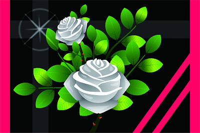 èŠ±æ¼¾