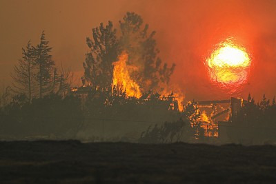 Bobcat Fire