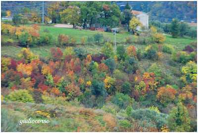 autunno in Valpolicella jigsaw puzzle