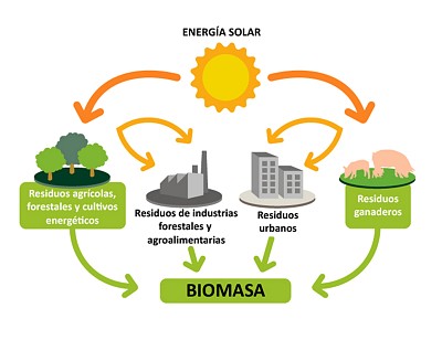 Biomasa