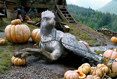 פאזל של Buckbeak