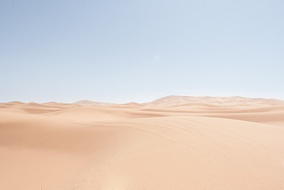 desert vector