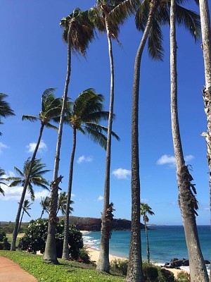 פאזל של Kaluakoi, Molokai Hawaii