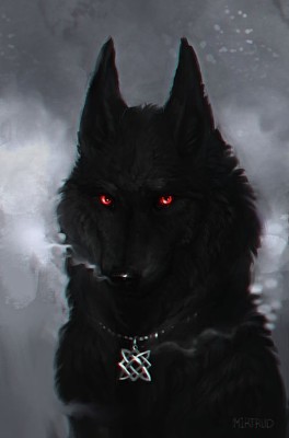 פאזל של lobo negro