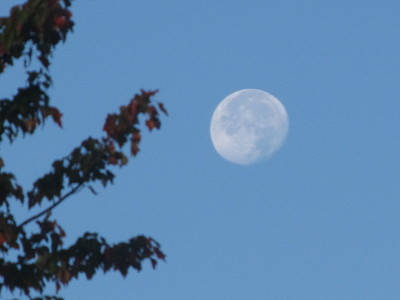 Moon in morning sky