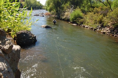 rio mapuche