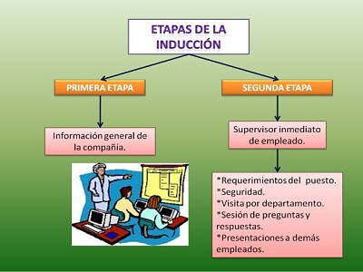 los pasos para una inducciÃ³n al puesto