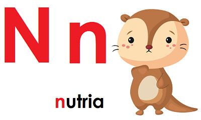 Nancy nutria