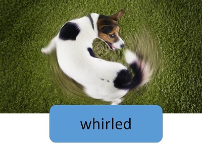 whirled